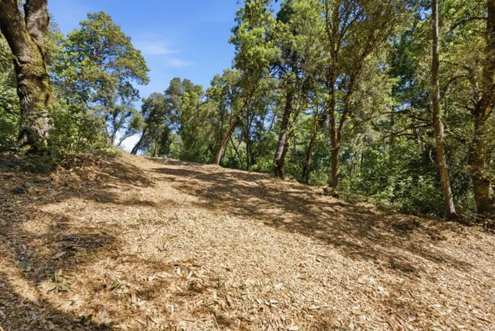 0 Page Mill Road, Palo Alto, California 94304
