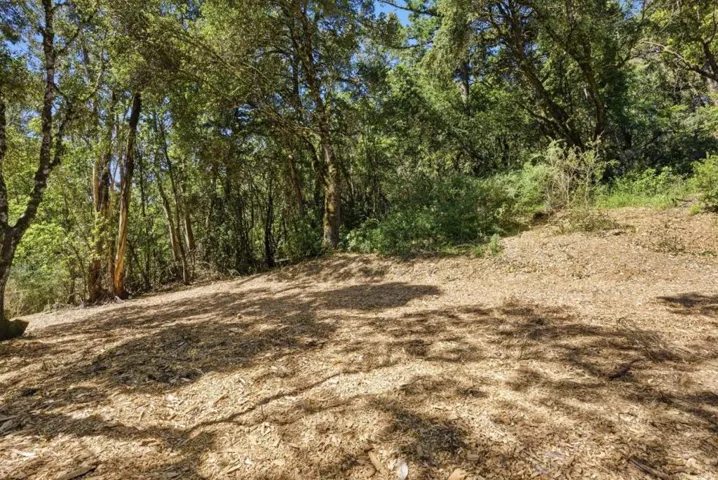 0 Page Mill Road, Palo Alto, California 94304