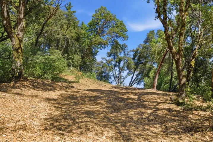 0 Page Mill Road, Palo Alto, California 94304