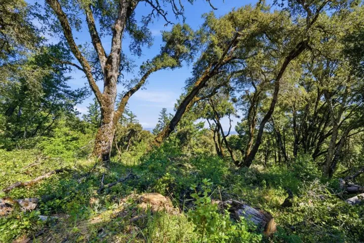 0 Page Mill Road, Palo Alto, California 94304