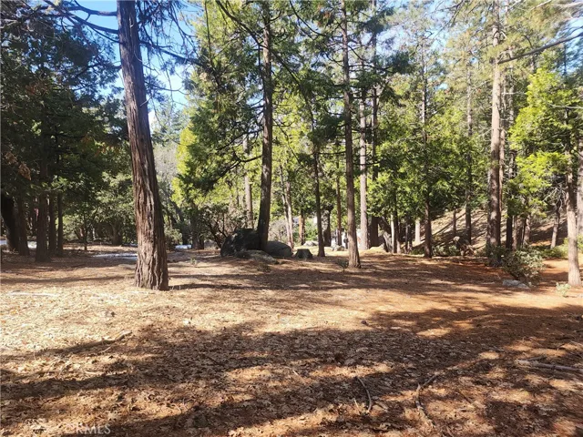 Flat part of the lot