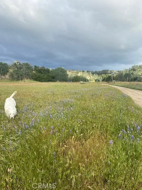 1575 Parkhill Road, Santa Margarita, California 93453 — photo 4