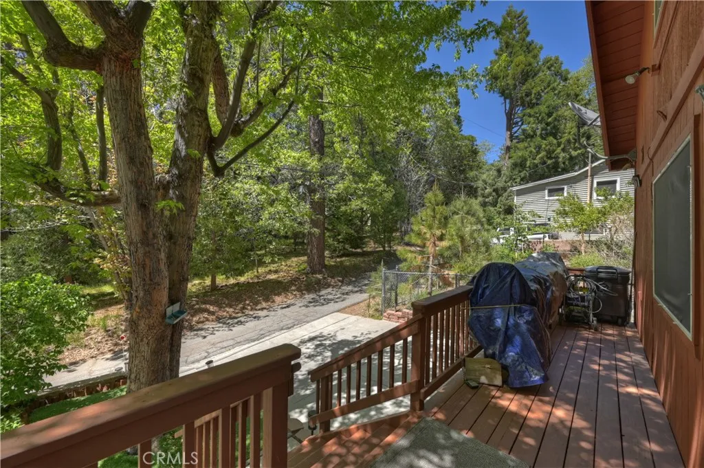 View From Front Porch