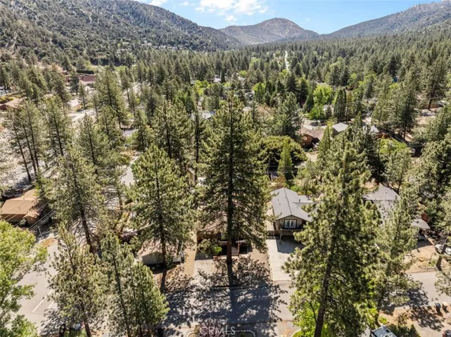 6285 Conifer, Wrightwood, California 92397