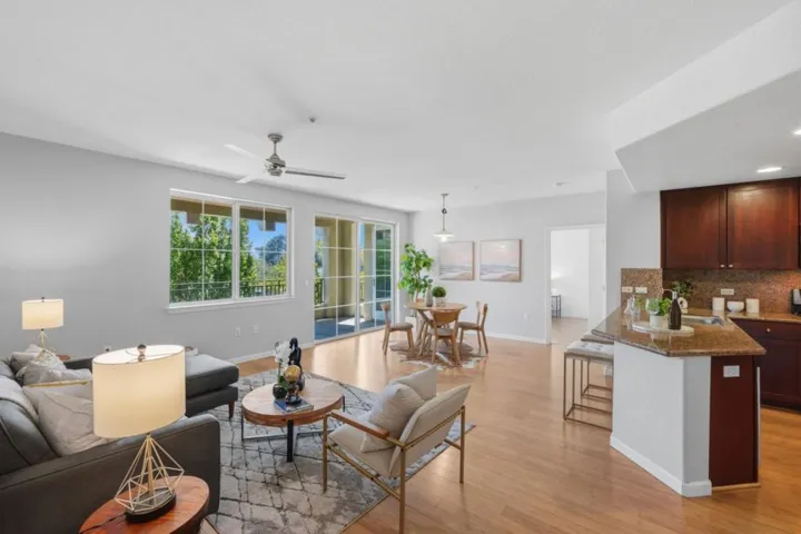 700 S Abel Street 317, Milpitas, California 95035