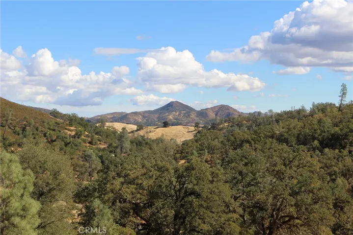 Beautiful views from the road driving up to the property...