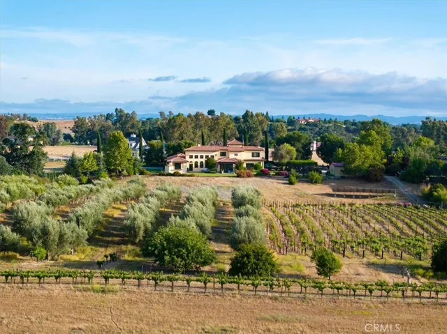 POV from Camp 8 Road over olive grove and vineyard