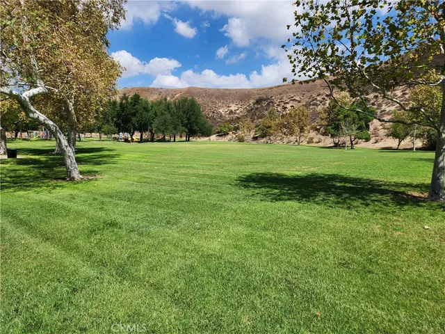 Community Park