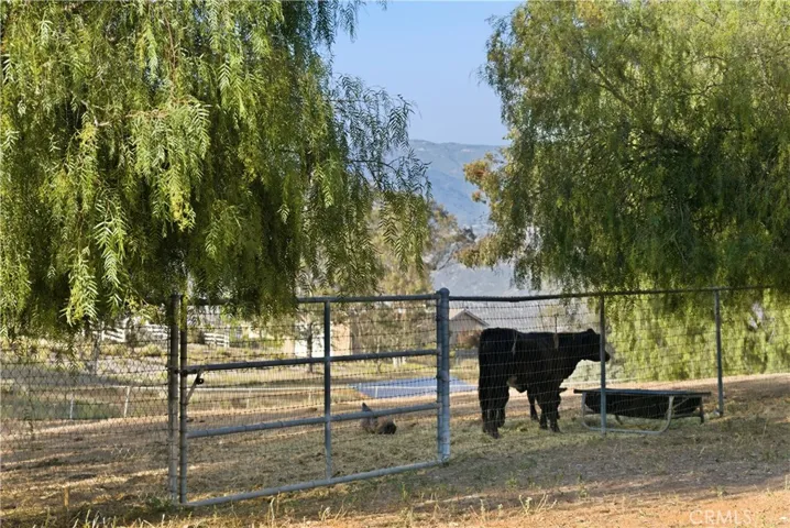 29271 The Yellow Brick, Valley Center, California 92082