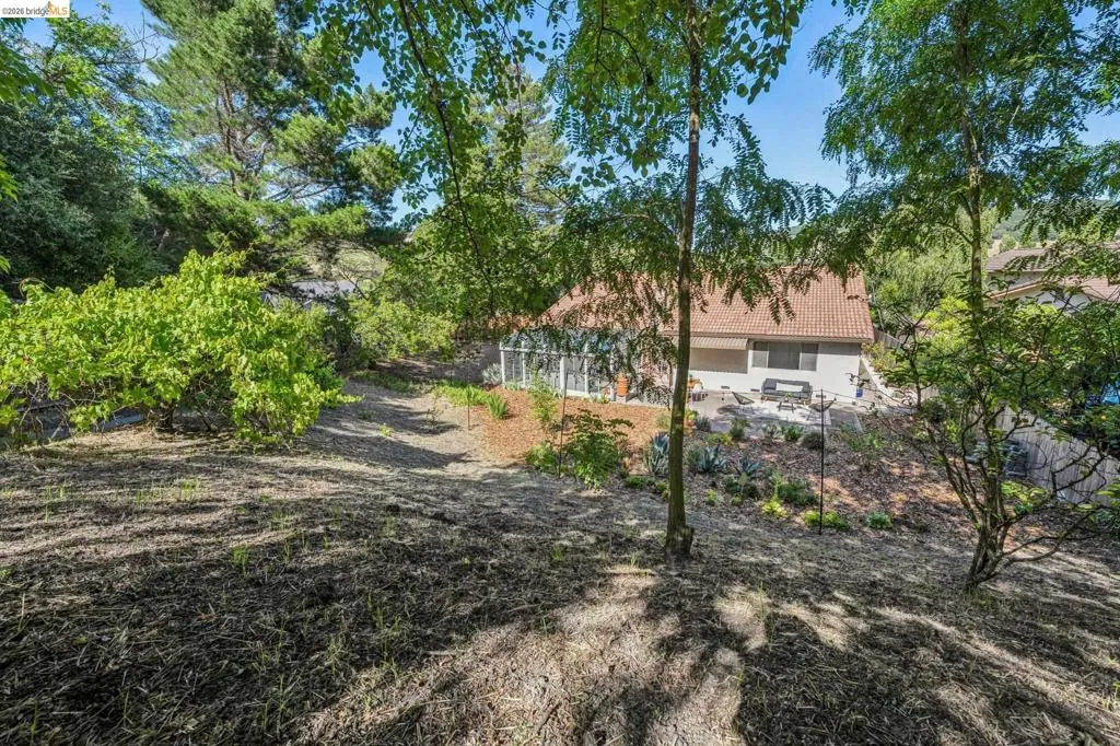 Terraced rear grounds with mature trees and natural landscaping