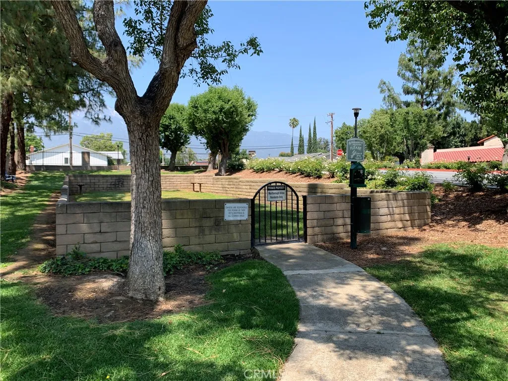 Dog Park