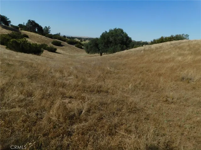 7878 O'donovan Road, Creston, California 93432 — photo 4