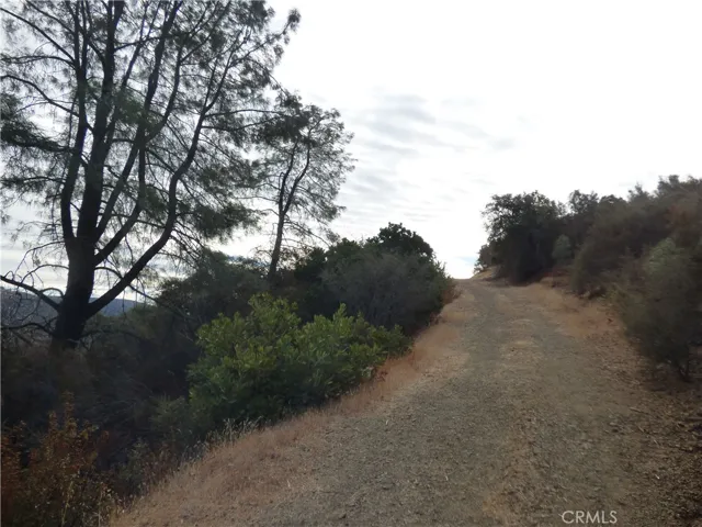  Nice roadway up to the top of property.