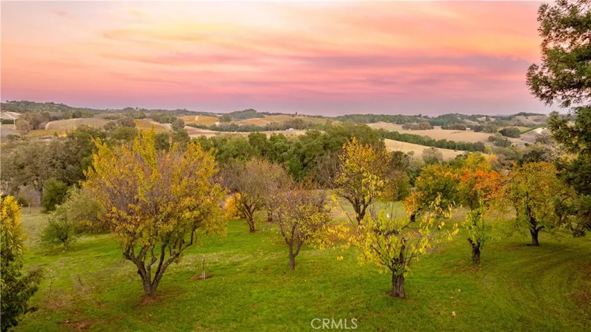 The property is graced with a variety of fruit trees.