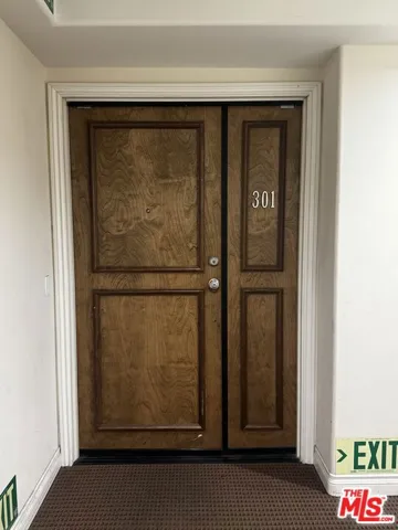 Unit Door