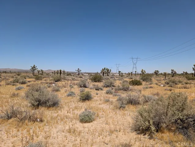 view to the north