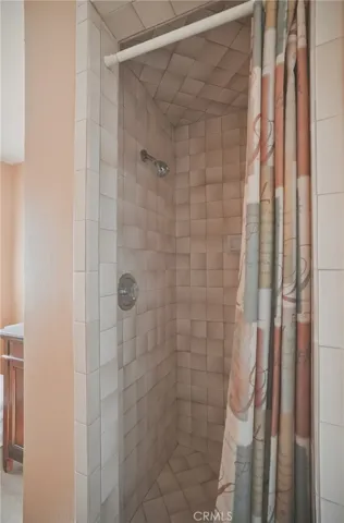 Hall Bathroom Shower