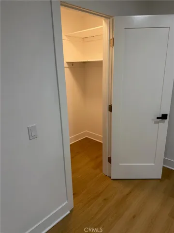 Walk-in closet in living room