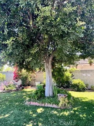 8845 Somerset, Rancho Cucamonga, California 91701