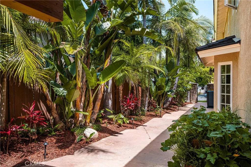 Side yard....