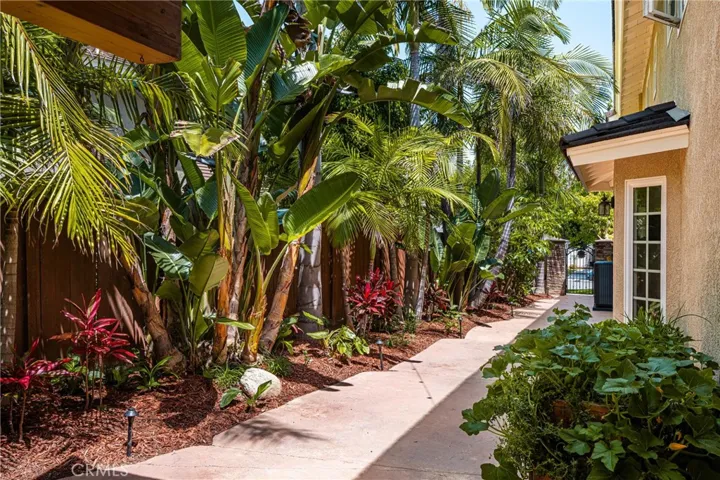 Side yard....