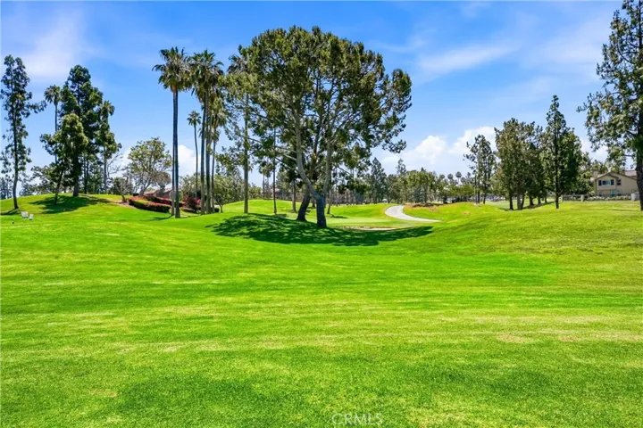Golf course view