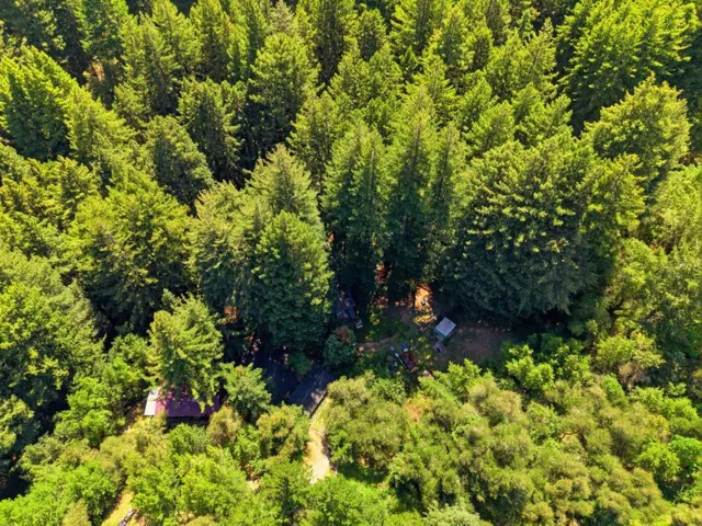 16730 Laurel Road, Los Gatos, California 95033