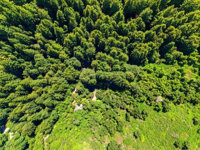 16730 Laurel Road, Los Gatos, California 95033