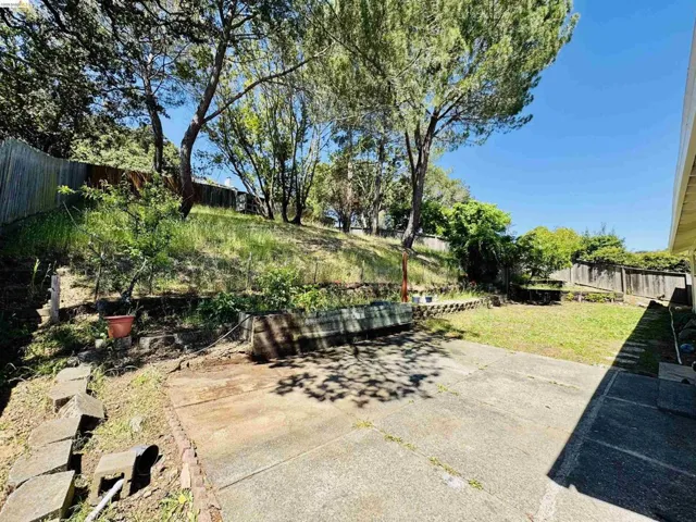 Multi-level backyard featuring a concrete patio, a grass lawn, and a sloped, treed area