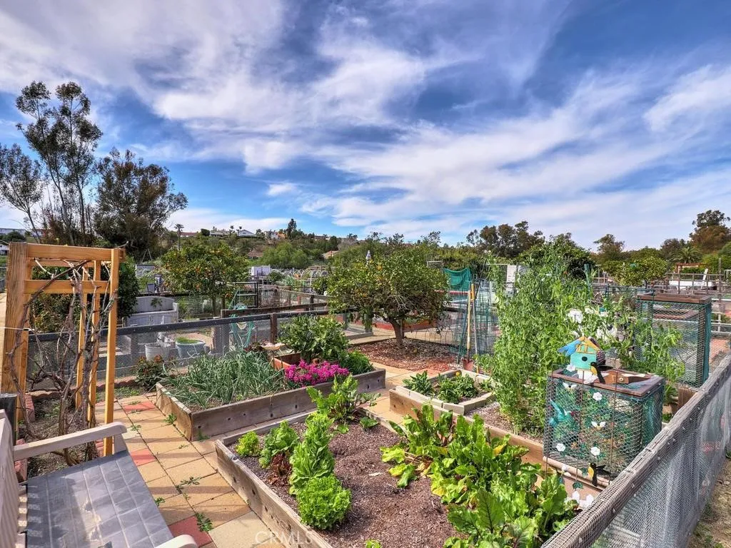 Vegetable garden​​‌​​​​‌​​‌‌​​‌​​​‌‌​​​‌​​‌‌​​‌‌​​‌‌​​​​ plots