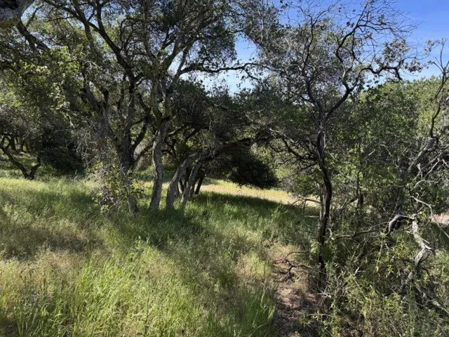 6443 Tustin Road, Salinas, California 93907