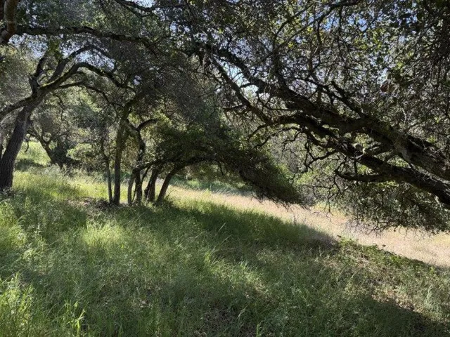 6443 Tustin Road, Salinas, California 93907