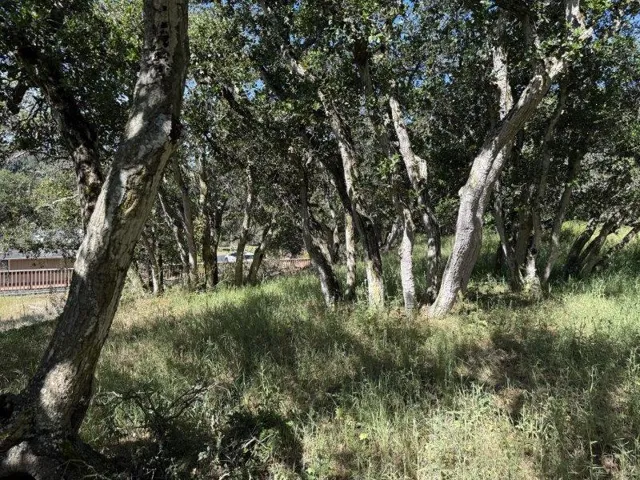 6443 Tustin Road, Salinas, California 93907