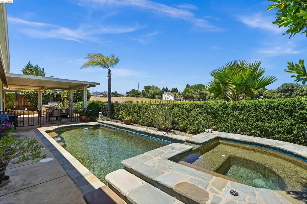 Outdoor swimming pool with integrated spa, surrounded by stone coping and mature privacy hedges