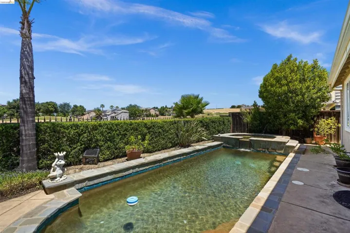 Expansive backyard featuring a rectangular swimming pool with a raised spa, stone coping, and a waterfall element