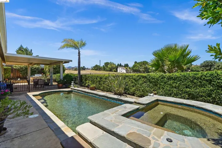 Outdoor swimming pool with integrated spa, surrounded by stone coping and mature privacy hedges
