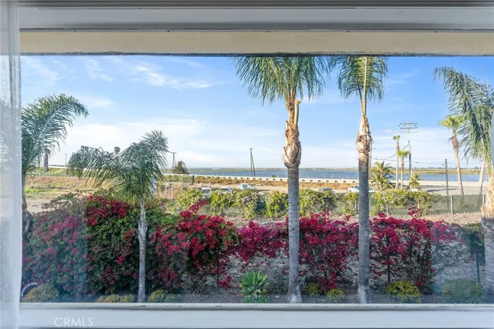 View from Kitchen/Living Room