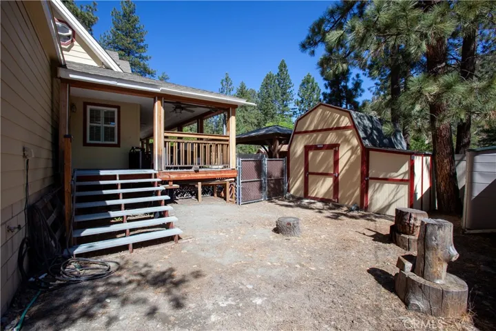back yard
