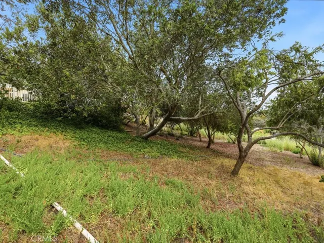 Wooded slope beyond the gated patio