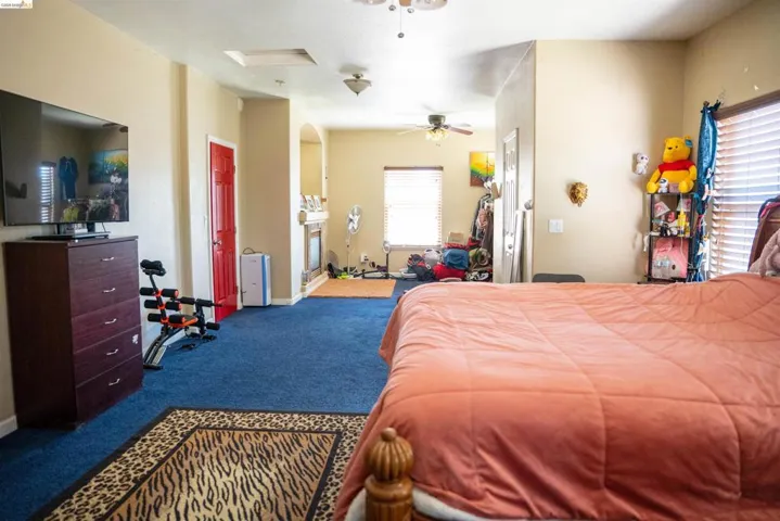 Spacious room featuring plush blue carpeting, light-toned walls, and a ceiling fan