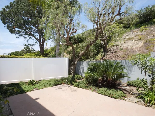 Backyard lower