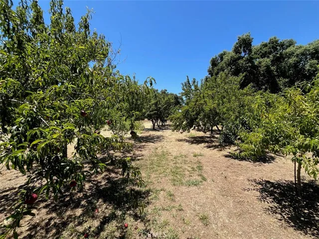 9761 Lott Road, Durham, California 95938