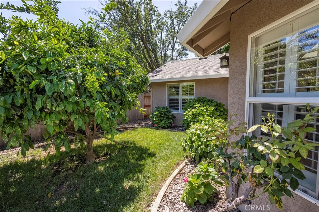 Side Yard