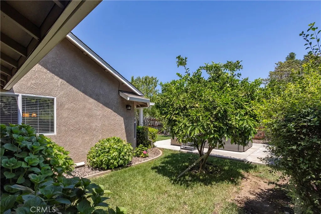 Side Yard