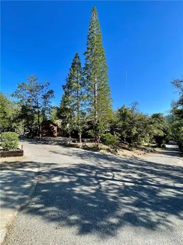 54825 Willow, Bass Lake, California 93604
