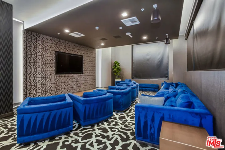 community screening room