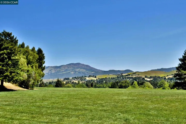Community Green Space