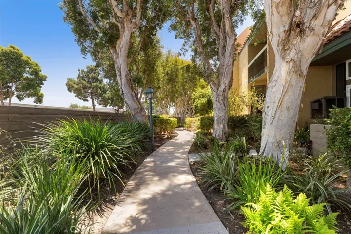 Walkway to the patio door.