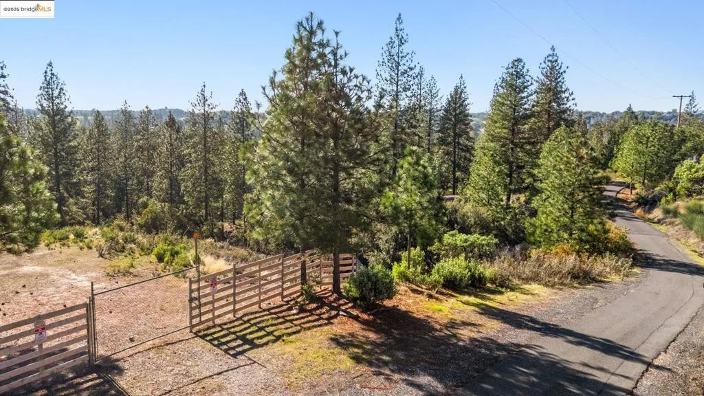 11210 Forest Park