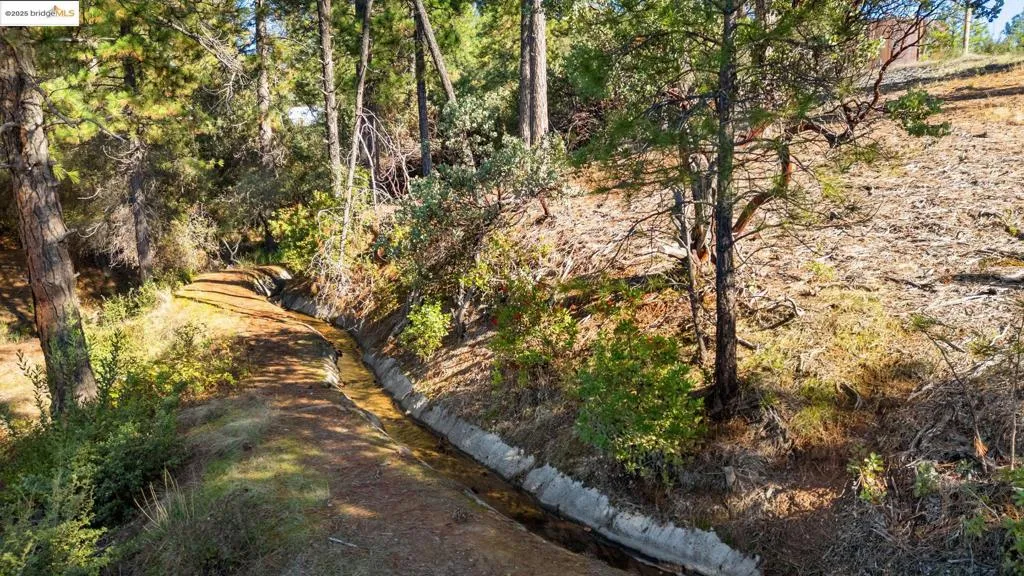 11210 Forest Park Rd, Columbia, California 95310 — photo 4